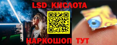 крисы Кингисепп