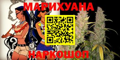 крисы Кингисепп