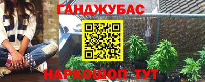 крисы Кингисепп
