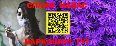 крисы Кингисепп