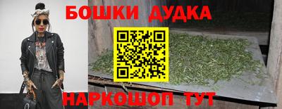 крисы Кингисепп