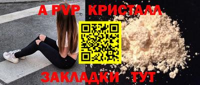 крисы Кингисепп