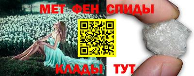крисы Кингисепп