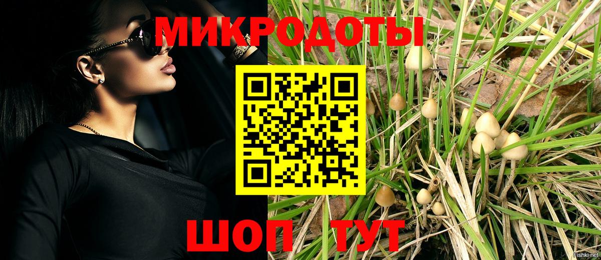 Галлюциногенные грибы мицелий Костомукша