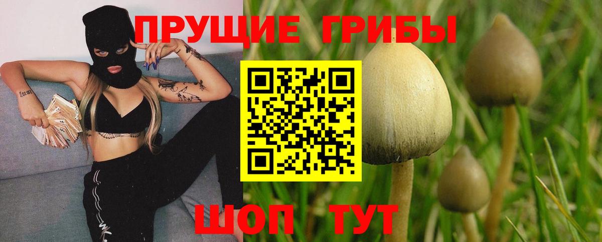 Галлюциногенные грибы мицелий  Вход с VPN  Костомукша 